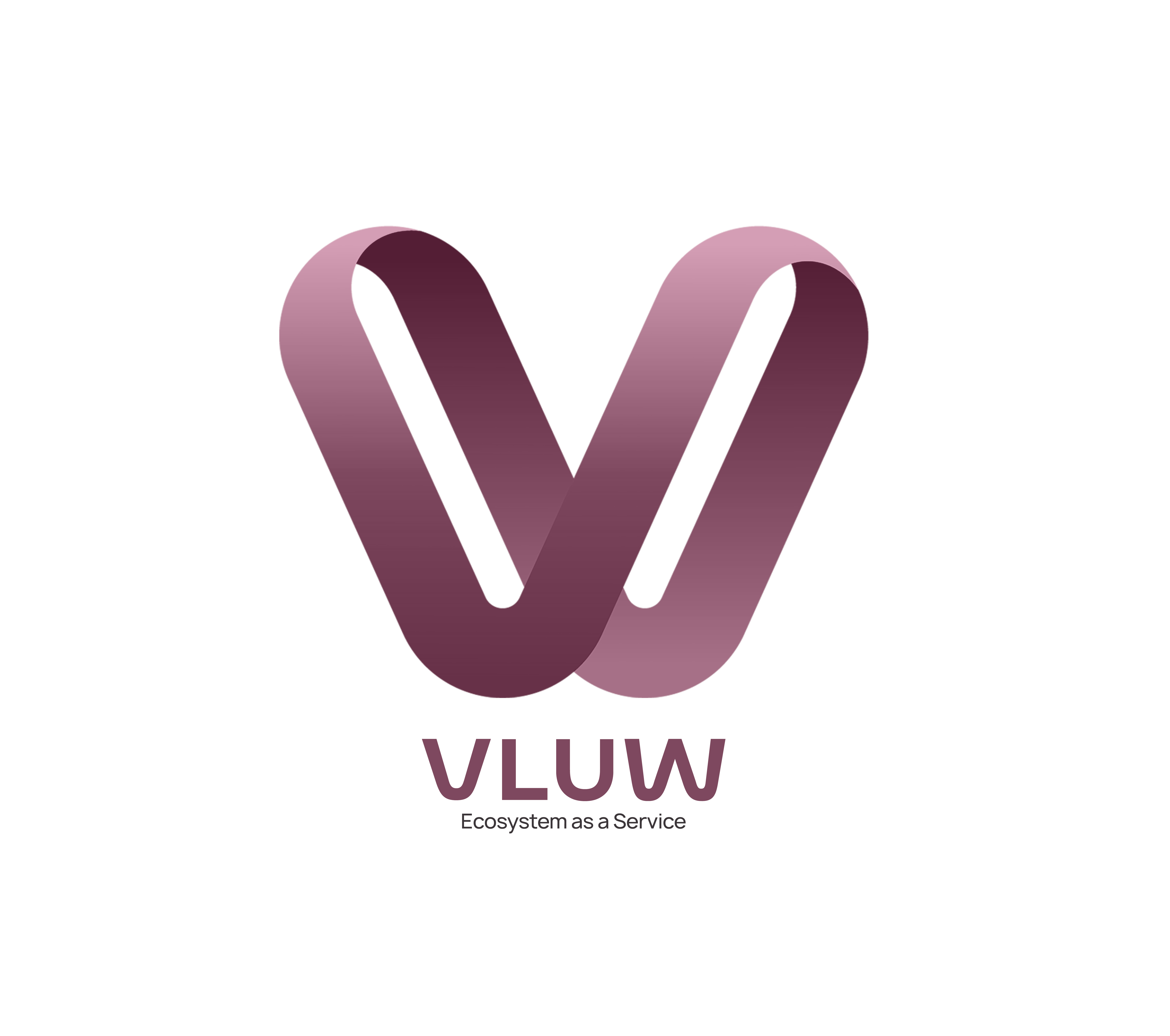 VLUW